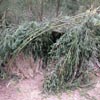 Survival Training