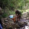 Survival Training