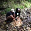 Survival Training