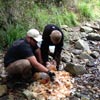 Survival Training