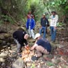 Survival Training