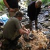 Survival Training