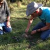 Survival Training