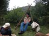 Survival Training