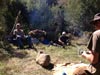 Survival Training