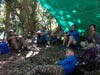 Survival Training