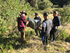 Survival Training