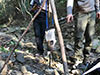Survival Training