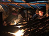 Survival Training