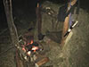 Survival Training