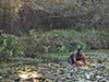 Survival Training
