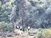 Survival Training