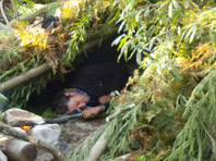Shelter